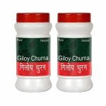 Shree Herbal Oganic Village Giloy Churna For Dengue Fever Hay Fever and Corona-virus Infection 100 G