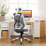 Vergo Transform Ergonomic High Back Mesh Office Chair (White Grey)