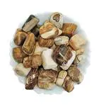 Divinity Crystals Petrified Wood Natural Aaa Grade Tumble Pebbles Stones (Pack Of 2)