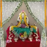 SpecialYou.in Pooja Room Decoration Items With Net Curtains, LED Lights, Marigold Garland and Green Vines Leaves, Home decor, diwali decoration, festival decoration, ganesh chaturthi -Pack of 10 Items