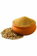 GOLDEN RESOURCES 100% Pure Premium Quality Corriander powder/Dhania powder 100gm, PO1