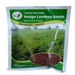 Hedge Lucerne or Velimasal or Desmanthus Fodder Seeds 500g