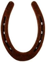 OYMYAKON Kale Ghode Ki Naal Iron Yantra (Pack of 1)