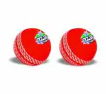 Jaspo T-20 Plus Practice Cricket Ball/Wind Balls (125-130 GMS) for - Indoor & Outdoor Sports (RED)