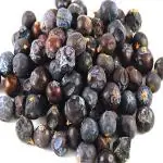 Xetomos Abhal Dried Juniper Berry Juniprus Communis Hayabusa Hauber with seed 150gm