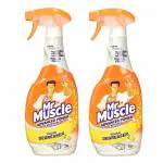 Mr Muscle Advanced Power Kitchen Cleaner, 750ml, Pack of 2 (Imported)