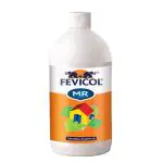 Pidilite Fevicol 1 Kg For Students and office work