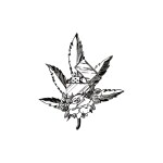 SIMPLY INKED Bad Decisions Temporary Tattoo, Designer Tattoo for all (Bad decisions tattoo)