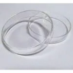 BNR EXPORTS High Accuracy Petri Dish Boroslicate Glass 4 '' (100 MM) PACK OF 5 Dia 100 mm (Reusable & Washable & Transparent)