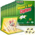 TruVeli Catch Mouse Rat Glue Traps,Mouse Insect Rodent Lizard Trap (Pack Of 10)