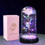 KATHIYAWADI Rose Flower Gift, Rainbow Forever Rose in Glass Dome, Rose Light Up Flower, Personalized Gifts for Mom, Sisters, Friend, Women, Valentine's Day, Birthday, Wedding