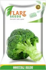 Flare Seeds Vegetable Broccoli Seed 100 Per Packet