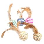 PSK Pet Mart Cat Feather Toy (Set Of 1)