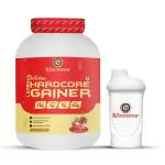 B2 Nutrition Strawberry Delicious Hardcore Lean Gainer 3 kg with Shaker