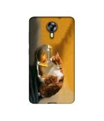 Casotec Cat and Fish Design Printed Silicon Soft TPU Back Case Cover for Micromax Canvas Xpress 2 E313