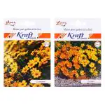 Kraft Seeds Flower Seed Packet (Pack of 2)