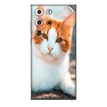GADGETSWRAP Printed Vinyl Skin Sticker for Samsung Galaxy S23 Ultra - Orange Cat