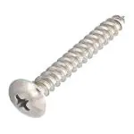 AKS Stainless Steel Pan Head Screw Size 10X50MM Pack Of 250 Piece