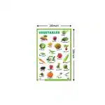 PEGASUS - VEGETABLES EDUCATIONAL CHART