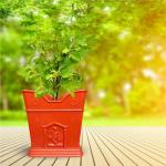 Dharneesh Garden Tulsi Pots Medium Size for Balcony with Tray Suitable for Garden