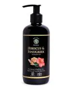 Aoum- Hibiscus & Fengureek shampoo | Paraben & Sulphate free | Natural and organic |Helps Control Hair Fall & Promotes Hair Growth |Repairs hair damage 250ml