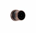 Ozone Bronze Smart Lock with Google Assistant and Alexa Enabled without Wi-Fi Gateway