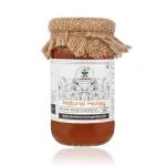 TWO BROTHERS ORGANIC FARMS 100% Pure Raw & Unprocessed Honey , Natural Multifloral Honey from Forest Blossoms | No Added Sugar or Preservatives | Rich in Antioxidants & Nutrients | Ideal for Immunity, Ayurveda & Daily Wellness | 450GM Glass Jar