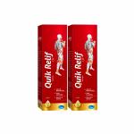 Quikrelif Pain Relief Oil For Muscle & Joint Pains 100 ml Each pack of 2