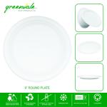 GREENVALE 9 Inch Disposable Plates | Sugarcane Paper Plates, Biodegradable | for Party, Birthday, Wedding, for Serving Dinner, Round Plate 220 MM Pack of 25 Plates
