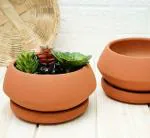 GOLD DUST Terracotta Pots, Clay Pots for Plants, Bonsai Pots, Terracotta Decorative for Home (Pack of 2)