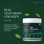 Vegetarian Collagen Peptides by ElectroFizz, Collagen Peptides Powder, 100% Veg Collagen Powder with Natural Flavor, Supports Healthy Skin, Hair, Joints & Bones, Digestion- 150gm (Veg Collagen)