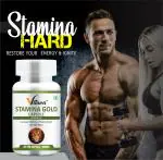 VLTAVA Stamina Gold Capsule | Strength & Stamina | Power & Performance |