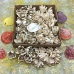 Palesaa CreamWhite CocoBrown Handmade Design Craft Lotus Petal 2in Dia 15+15Pc Gift Pack White, Brown Lotus Artificial Flower (2 inch, Pack of 30, Single Flower)