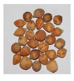 PMW - LAGHU NARIYAL - ENERGISED - Quality - MAHALAKSHMI Coconut - Small Coconut - Set of 108