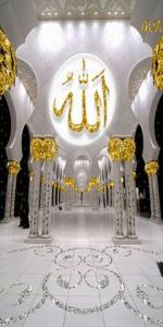 Krissycase Vivo Y33s, Vivoy33s Mobile Back Cover, Back Cover