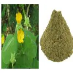 Vi Vethan Thuthi ilai powder 100gm