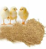 Bio Blooms Agro India Private Limited Poultry Pellet Food for Young Chicks, Chicken 0 to 6 Weeks (5 kg)
