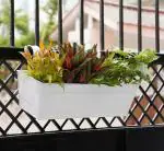 GOLD DUST Hanging Pots for Plants Balcony Railing, Hanging Planters for Balcony, Plant Pots for Balcony, Railing Planters for Balcony- Pack of 1