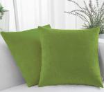 Sleepsia Throw Pillow Covers - Premium Velvet Cushion Covers - 16X16 (Green) Set of 2
