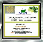 MGBN THE PATH FOR THE HEALTHIER LIFE WITH BEAUTY Lemon, Nimbu, Citrus Lemon Seeds - 1 g (30 Seeds)