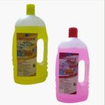 EverStore FLOOR CLEANER LYZOL 500ML PACK OF 2 (500 ml)