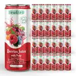 Newtreo Berries Juice With Pulp | Imported from Vietnam | Strawberry### Blueberry### Raspberry### Cranberry### Red Grapes & Sea Buckthorn Juice | 24 x 250ml cans