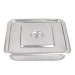 GVSSCO Stainless Steel Instrument Tray 10