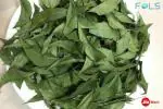 FOLS ORGANIC NEEM LEAVES | DRY AZADIRACHTA INDICA LEAVES | 100 GM