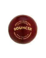 SG Other Bouncer Leather Ball