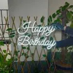 DOJI Happy Birthday Neon Signs Light LED Art Decorative Sign - for Wall Decor, Home Restaurants, Wedding Birthday Party Decor, Bar Decor, Mini Bar, House Party.