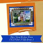 VSP VASTU SAMADHAN - 158 SHREE KRISHNA FRAME with Pyramids / Crystal Beads Fitted Inside for REDUCING Debts and for Overall Positive VIBERATIONS
