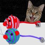 Pets Empire Lovely Stripe Nylon Rope Round Ball ,2 Pcs