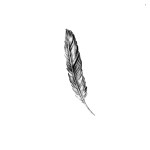 SIMPLY INKED Feather Temporary Tattoo Design, Designer Tattoo for all (Feather tattoo design)