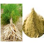 Vi Vethan Thaneervittan kilangu (SATAVAR) powder 100gm